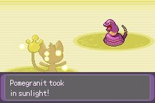 [PokeCommunity.com] Pokémon Tourmaline (v0.2.1 Released 04/22/2025)