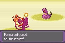[PokeCommunity.com] Pokémon Tourmaline (v0.2.1 Released 04/22/2025)