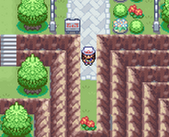 [PokeCommunity.com] Pokémon Elysium (GBA)