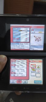 [PokeCommunity.com] Pokémon Chaos Purple Version