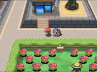 [PokeCommunity.com] Pokémon Chaos Purple Version