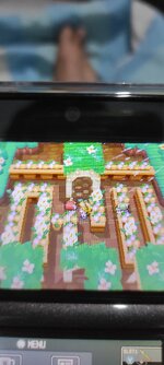 [PokeCommunity.com] Pokémon Chaos Purple Version