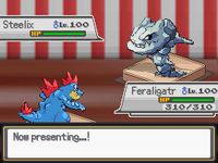 [PokeCommunity.com] Emulated Rebornian/Rejuvenian Field Effects & Revamped Battle Tower (v4.0.0) [v21.1] (Updated 5/25/2025)