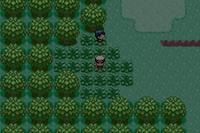 TestMega.gif