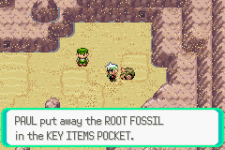 [PokeCommunity.com] [Emerald] I use dynamic offsets and I still get glitches