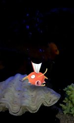 [PokeCommunity.com] PokéCommunity's Pokémon GO Snapshot Contest