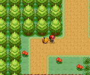 [PokeCommunity.com] Quicksave Problem