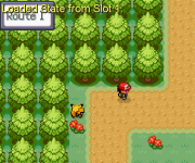 [PokeCommunity.com] Quicksave Problem