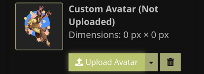 Avatar changes do not work