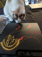 [PokeCommunity.com] question: do you care about the aesthetics of your console?