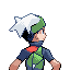 [PokeCommunity.com] Player Character formatting