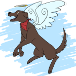 Tachi is an angel.png