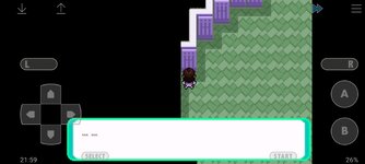 [PokeCommunity.com] Pokémon Team Rocket Edition: Dragonsden Version - Kanto/Sevii/Johto | Next release: DLC (season 4)