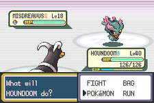 Pokemon Fire Red with Hoenn-7.png
