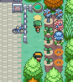 [PokeCommunity.com] Pokémon Victory v1.0.8 [5th Gym! Nuzlocke Competition! Contests!]