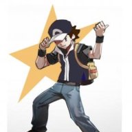 TheSteelTrainer