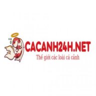 cacanh24h