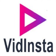 vidinstaen
