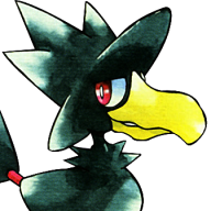 Birds+