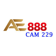 ae888cam229