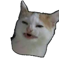 pipikachu36
