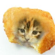 Kitten McNugget
