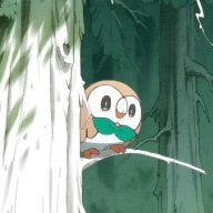 Rowlet South