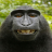 FunnyMonke