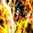 *Blitz_Fire*