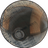 Paused_Milk
