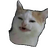 pipikachu36