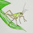 aircrickets