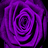 SoulfulPoetKat
