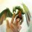 SCPTinyDragoness