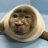 Seal_Shepherd