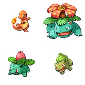 Pokemon Avi