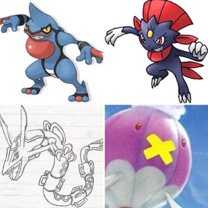 Pokemon Album