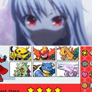 Folder 1