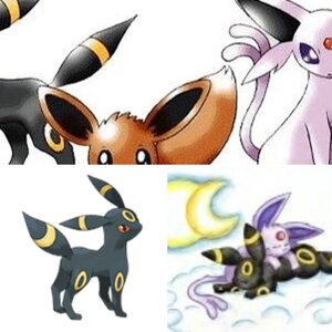 Umbreon and Espeon
