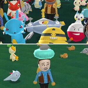 Wiidom Ranch
