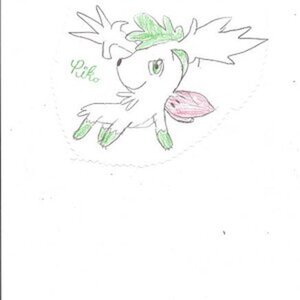 shaymin