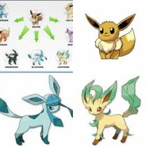 Eeveelution