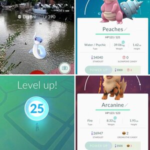 Catches