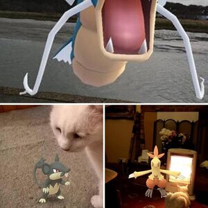Pokestuff