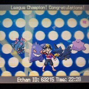 Completed Pokemon Challenge Teams