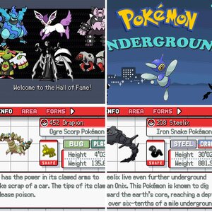 Pokémon Underground Screenshots 2