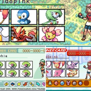 trainer cards