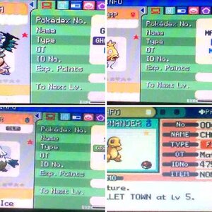 Shiny Hunting