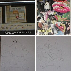 Pokémon Pictures