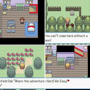 Pokemon Andesite Pictures
